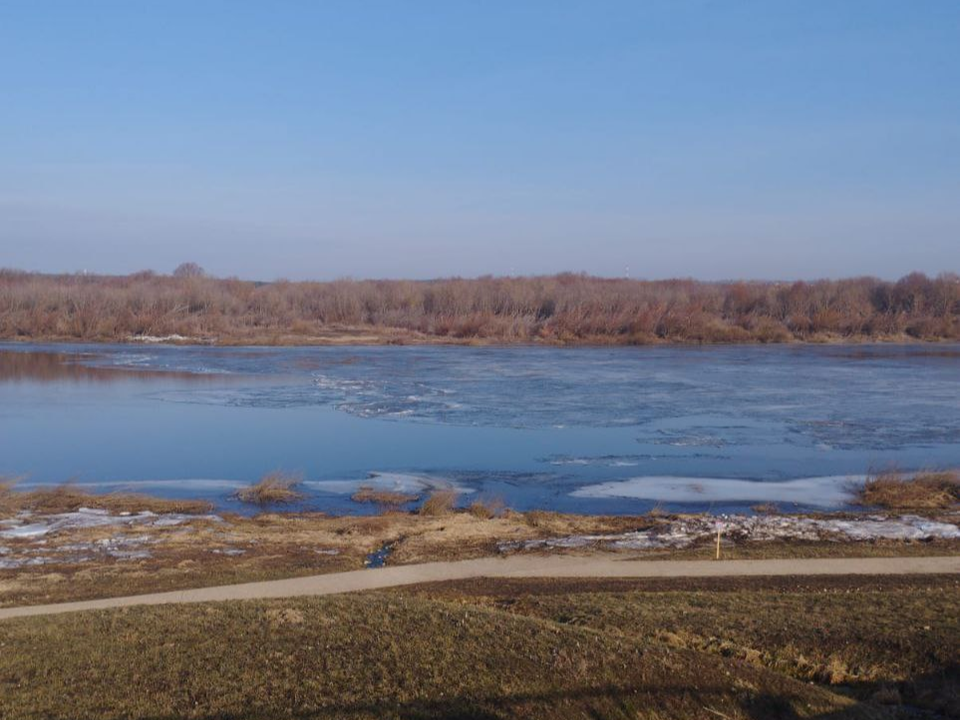 Уровень воды в Кашире превысил ординар после начала ледохода