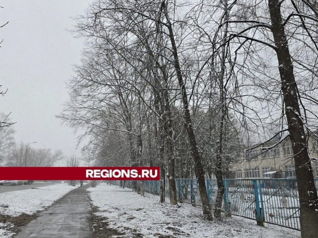 В округе Луховицы температура воздуха поднимется до 4 градусов выше нуля