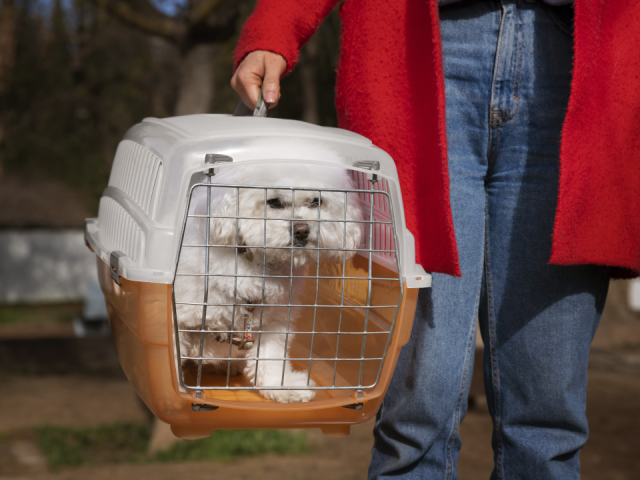 Подмосковный отель одним из первых получил сертификат Pet-friendly