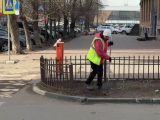 В Реутове приступили к масштабному озеленению после реконструкции теплосетей