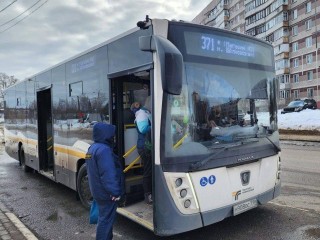 На маршрутах Лосино-Петровского округа выросло количество автобусов