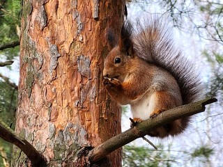 Жители Богородского округа приносят жертвы богам весны