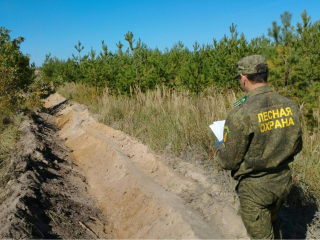 Села и деревни защитят от огня минерализованными полосами