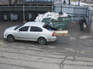 Нарушители заплатят ₽240 тыс. за незаконный сброс мусора в Истре