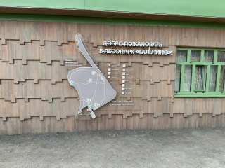 В марте лесопарк «Гальчино» в Домодедове посетили более 17 тыс. человек