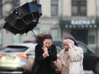 Штормовой ветер с порывами до 23 м/с ожидается в Шаховской