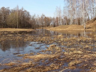 Атмосферными фотографиями обмениваются бронничане в день весеннего равноденствия