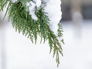 Масленицу луховичане отметят со снегом и при нулевой температуре