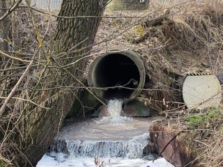 Житель Коломны получил предостережение за загрязнение почвы сточными водами