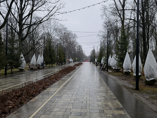 Парки в Ступине и Михневе временно закрыли из-за штормового ветра