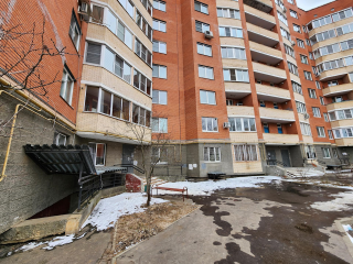 Дом 4А на Вишневом бульваре избавят от полчищ комаров и вони из подвала