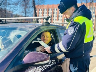 В Ступине прошла акция Госавтоинспекции по безопасности детей в автомобилях