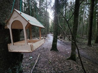 В Некрасовском сквере появятся пешеходные дорожки, детские площадки и тренажеры
