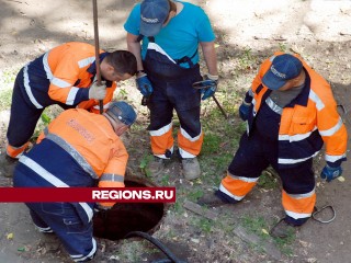 Целую курицу и семейные трусы обнаружили сантехники в Ногинске