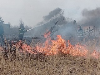 Луховицкие пожарные вовремя ликвидировали пал сухой травы, не дав огню перейти на дома