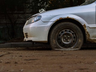 Эксперт: отвечать за упавшее на автомобиль дерево обязан водитель