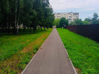 В Дмитровском округе благоустроят 14 «народных троп» в 2025 году