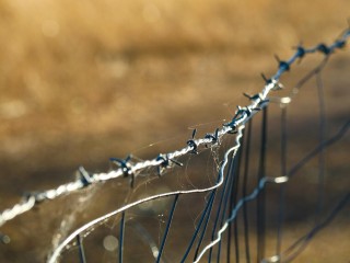 Во Фрязине обнаружены опасные растяжки