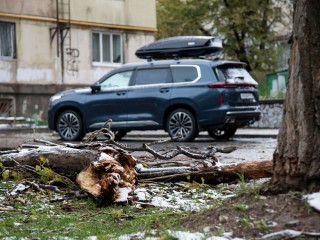 Поваленные деревья и закрытые парки: ураганный ветер пришел в Подмосковье