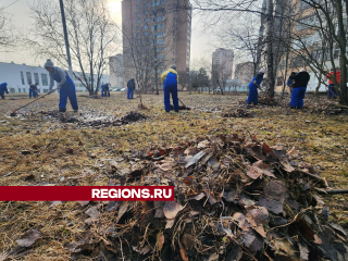 Дворники убрали листву и мусор во дворах на улице 60 лет СССР