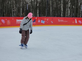 Каток в Центральном парке Лобни завершил работу до следующего зимнего сезона