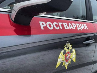 Подмосковные росгвардейцы изъяли 122 единицы оружия
