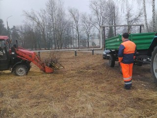В Туголесском Бору скосили траву, которая за 10 лет выросла с человеческий рост