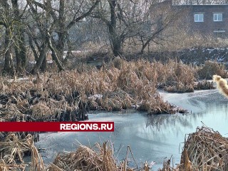 В Балашихе расследуют новый выброс химикатов в реку Малиновка