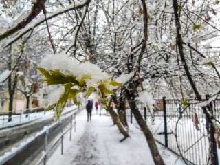 Синоптики обещают возвращение зимы в субботу