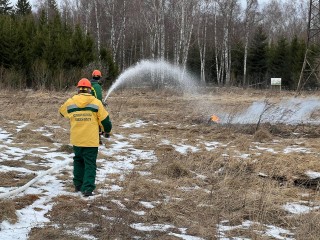 Учебный лесной пожар под Подольском потушили за 15 минут