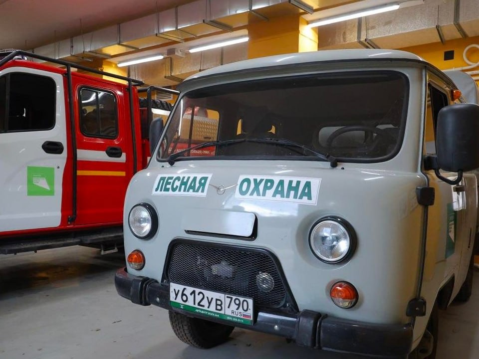 В Павловском Посаде проверяют земельные участки, примыкающие к лесному фонду