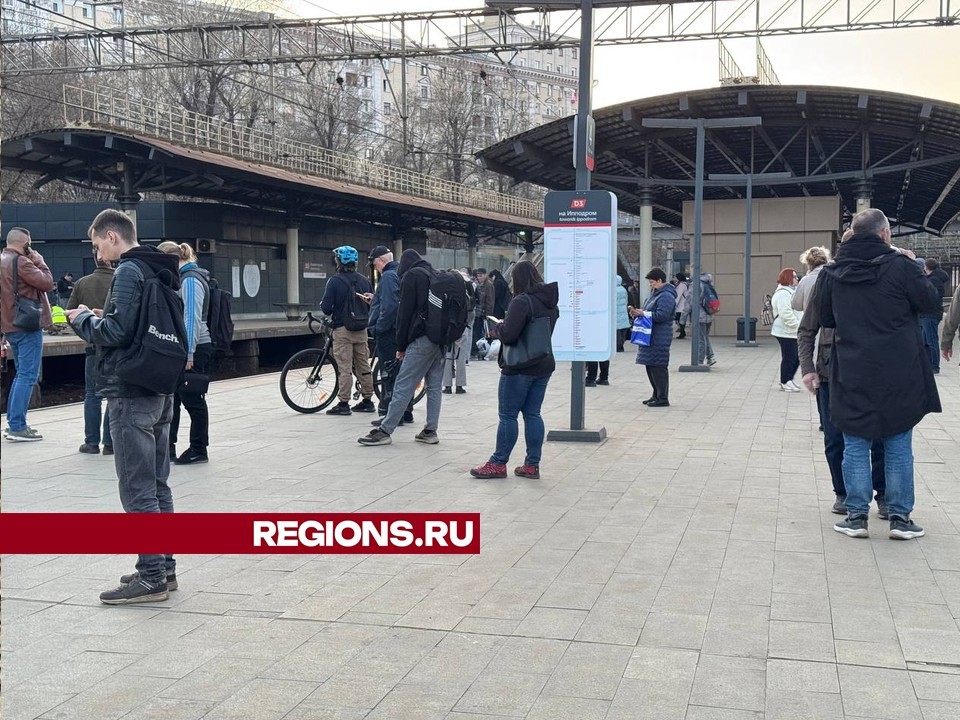 Поезда в направлении Раменского задерживаются, один состав отменен