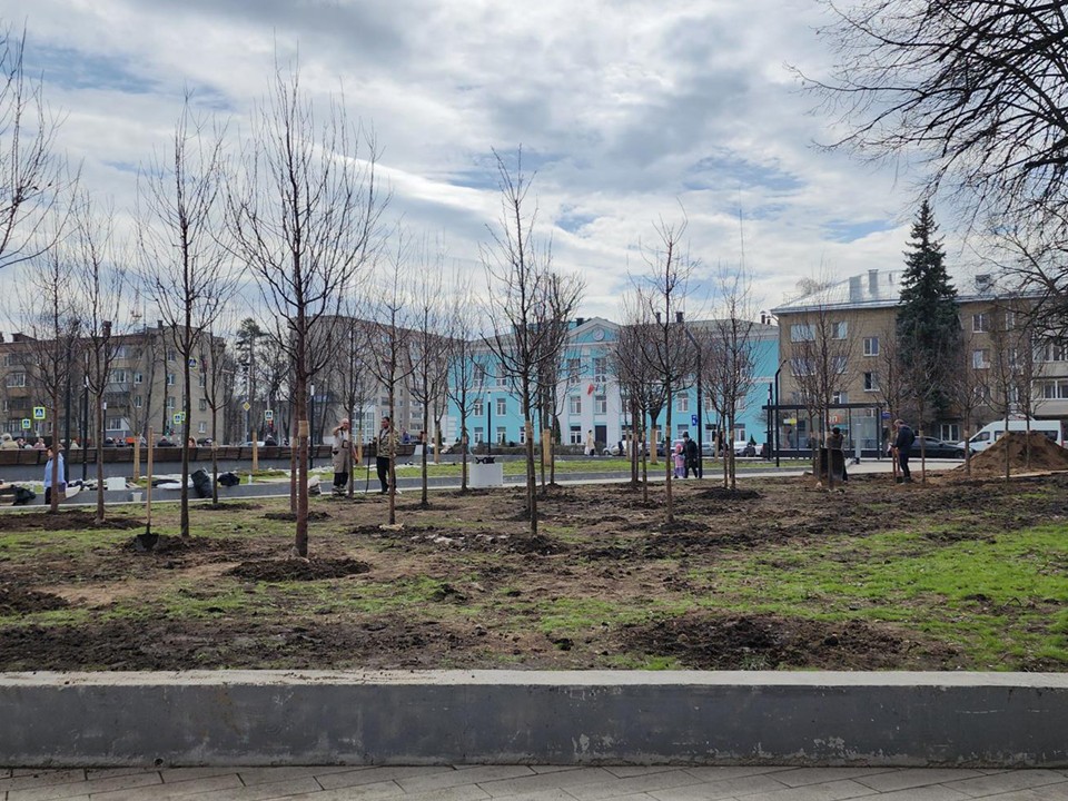 На Советской площади высадили яблони по системе, разработанной в СССР