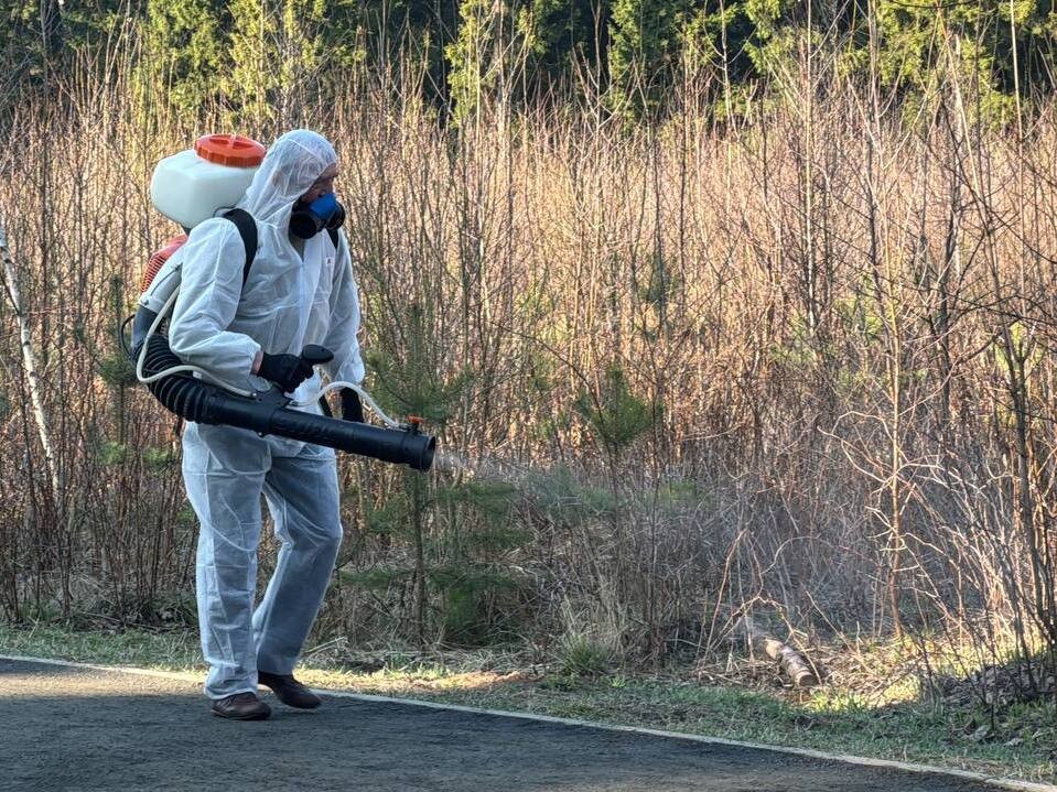 Парк Кривякино Воскресенска обработают от клещей