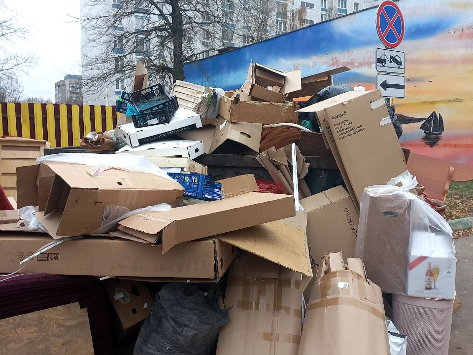 Сколько несанкционированных свалок ликвидировали в Электростали за неделю