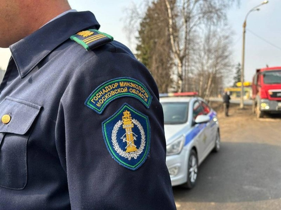 В Одинцовском округе за незаконное обращение с отходами оштрафованы нарушители