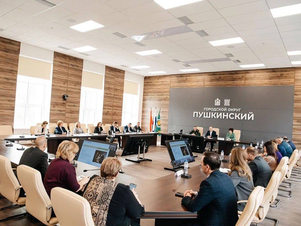 В округе Пушкинский обсудили реализацию мер поддержки участникам СВО и членам их семей