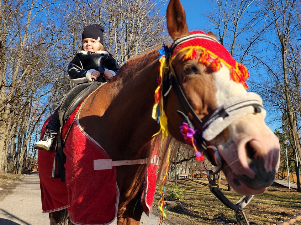 Бесплатные мастер-классы, квесты и тренировки пройдут в парках Воскресенска в будни