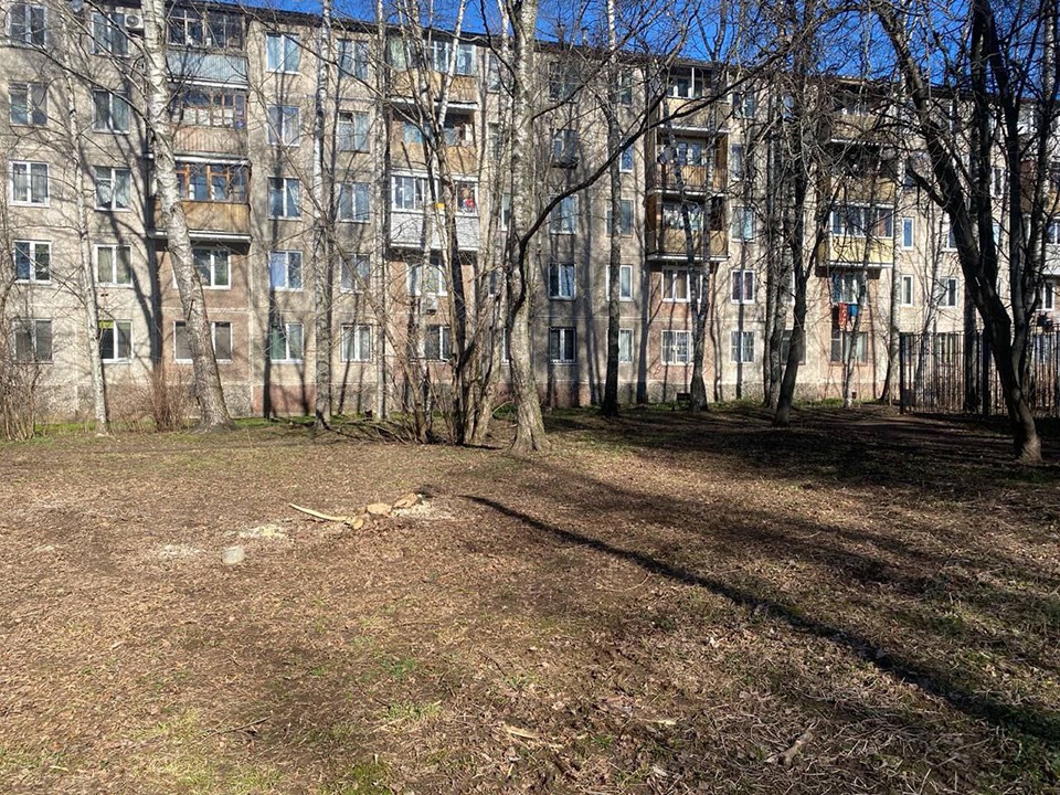 Старую листву и мусор убрали на улице Тургенева в Пушкино