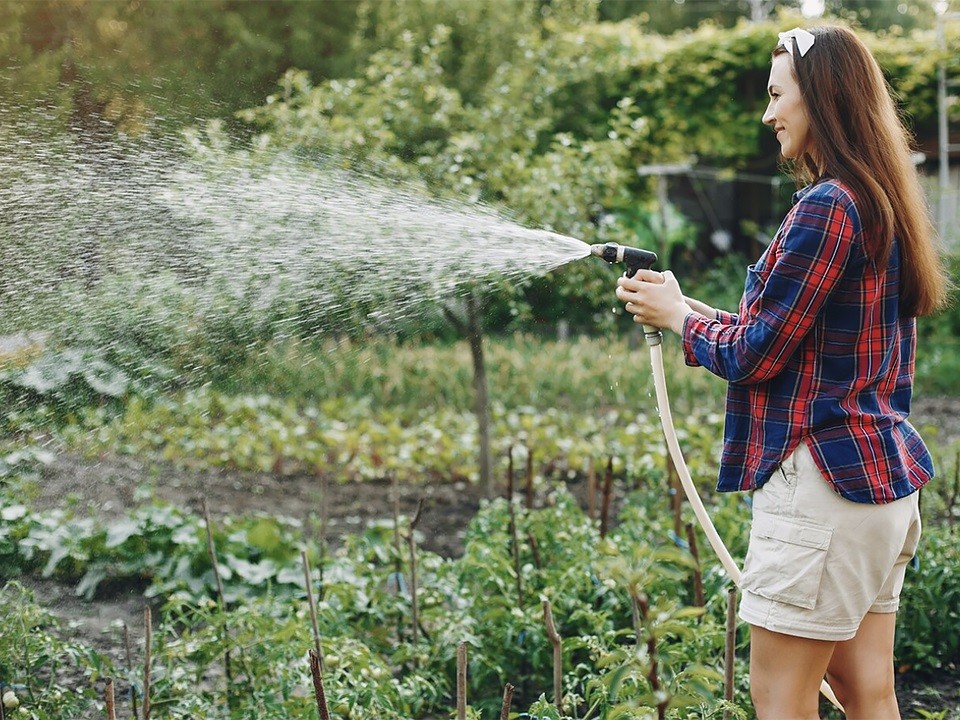 Ученые раскрыли секреты восстановления истощенной почвы