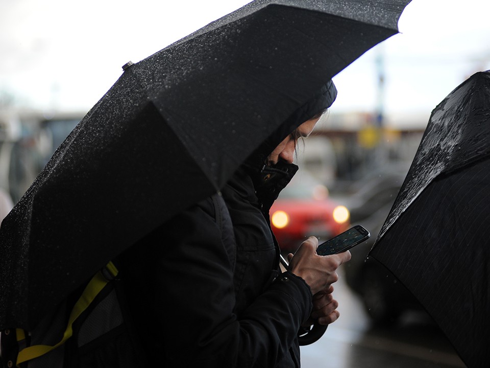 Холодный ветер с дождем усилятся в Зарайске