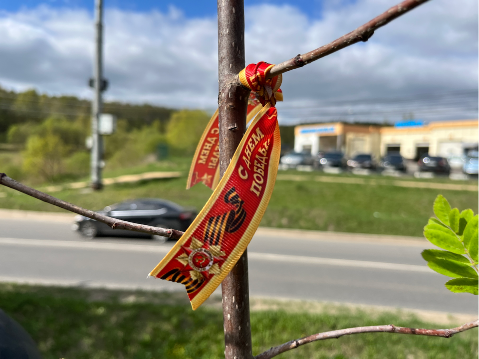 В Серебряных Прудах высадят «Сад памяти»