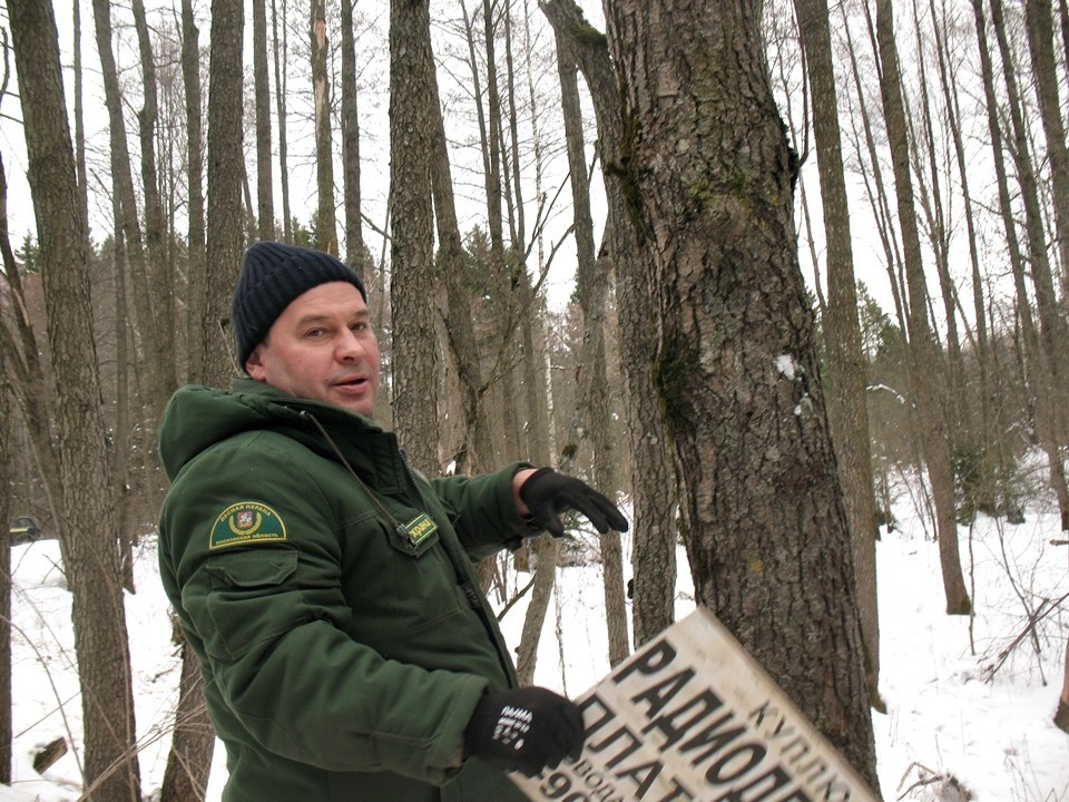 Лесничие «Русского леса» очистили леса Протвина от незаконных объявлений