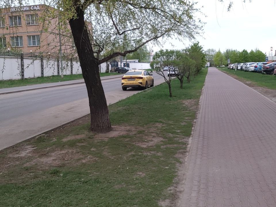 Газоны вдоль улицы Академика Челомея привели в порядок