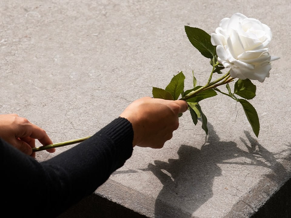 В мае «Центр мемориальных услуг» проведет 25 выездов в Подмосковье
