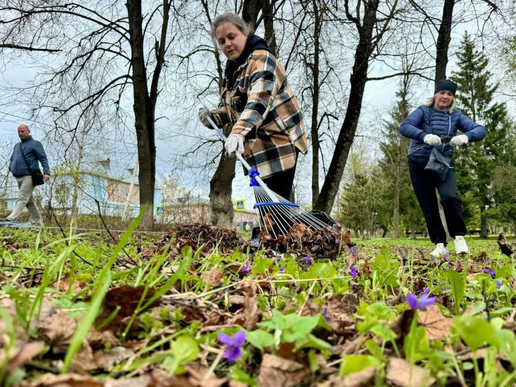 Присоединиться к масштабному субботнику в Можайске можно в десяти точках округа
