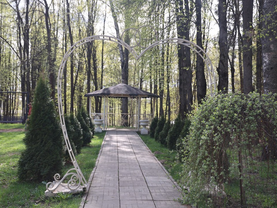 Яркие цветы украсили клумбы парка в Волоколамске