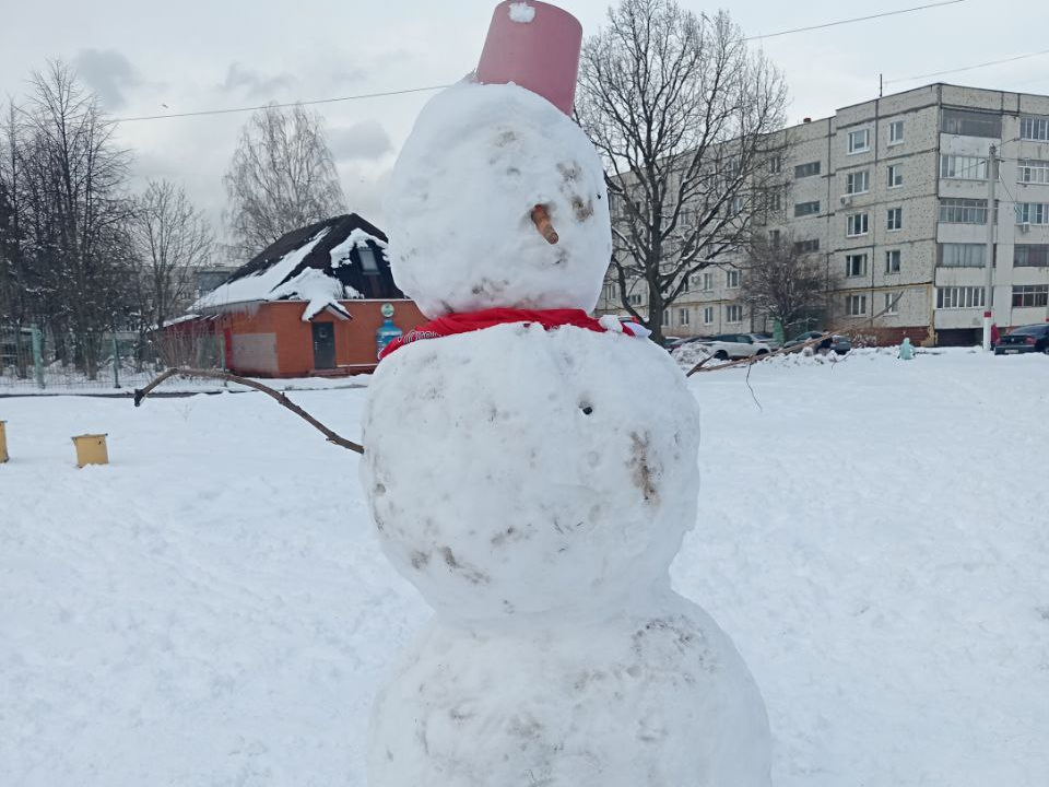 Самого большого апрельского снеговика слепили жители Электрогорска