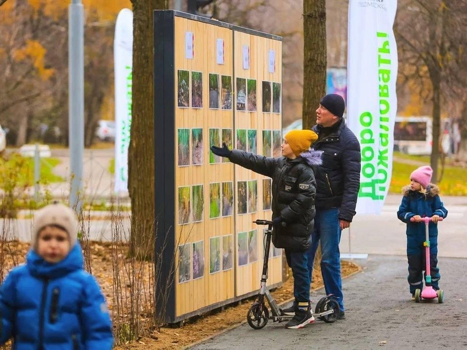 В Ленинском более 6,5 тыс. человек выбрали территорию, которую преобразят к 2026 году