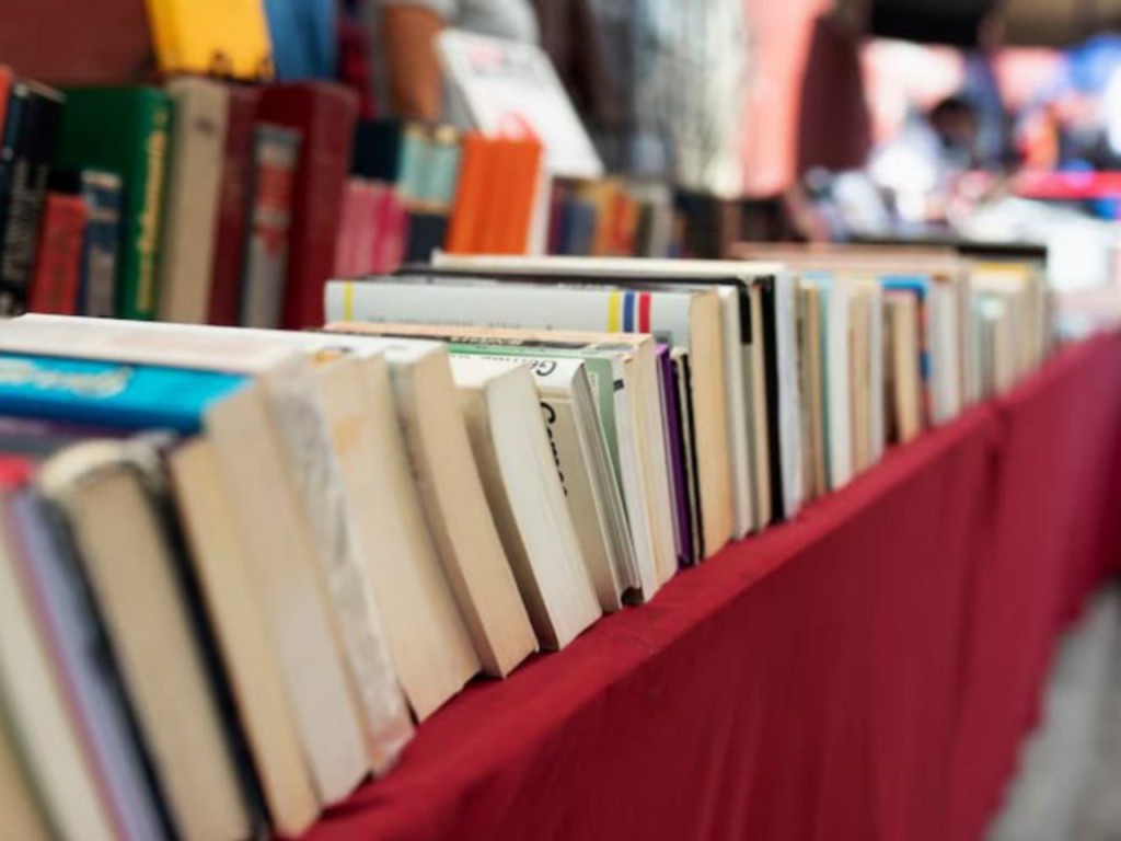 Книжные выставки, мультфильмы и приключения ждут талдомчан в четверг